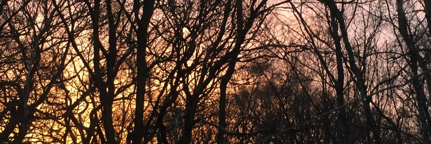 NelH90's profile banner image