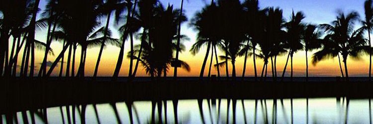 17eeec27e4454ab's profile banner image