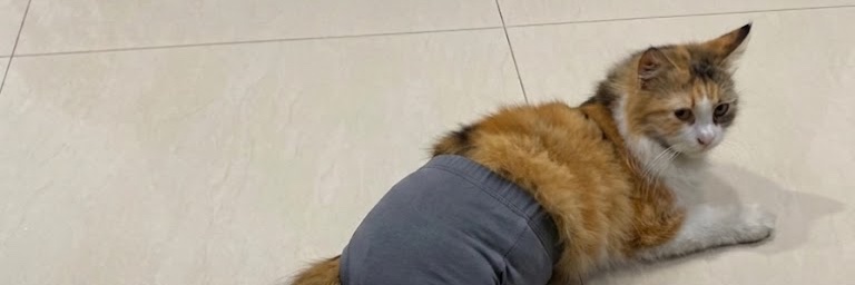 okaydey's profile banner image