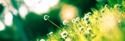MGKatanic's profile banner image