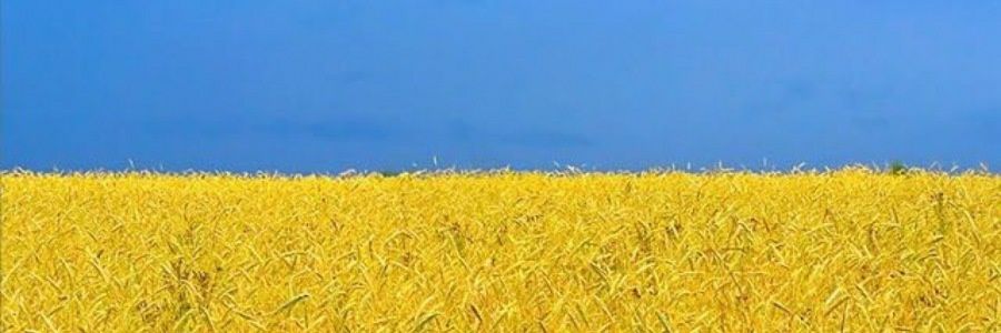 barrvios's profile banner image