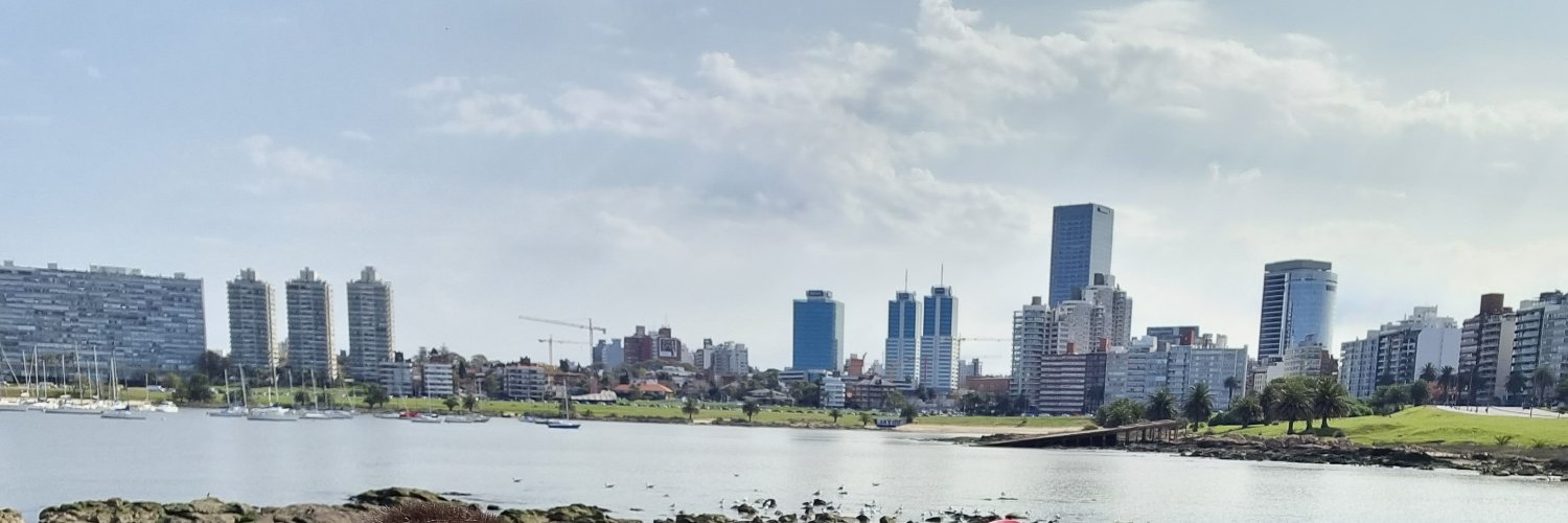 Pablo Hoffman banner