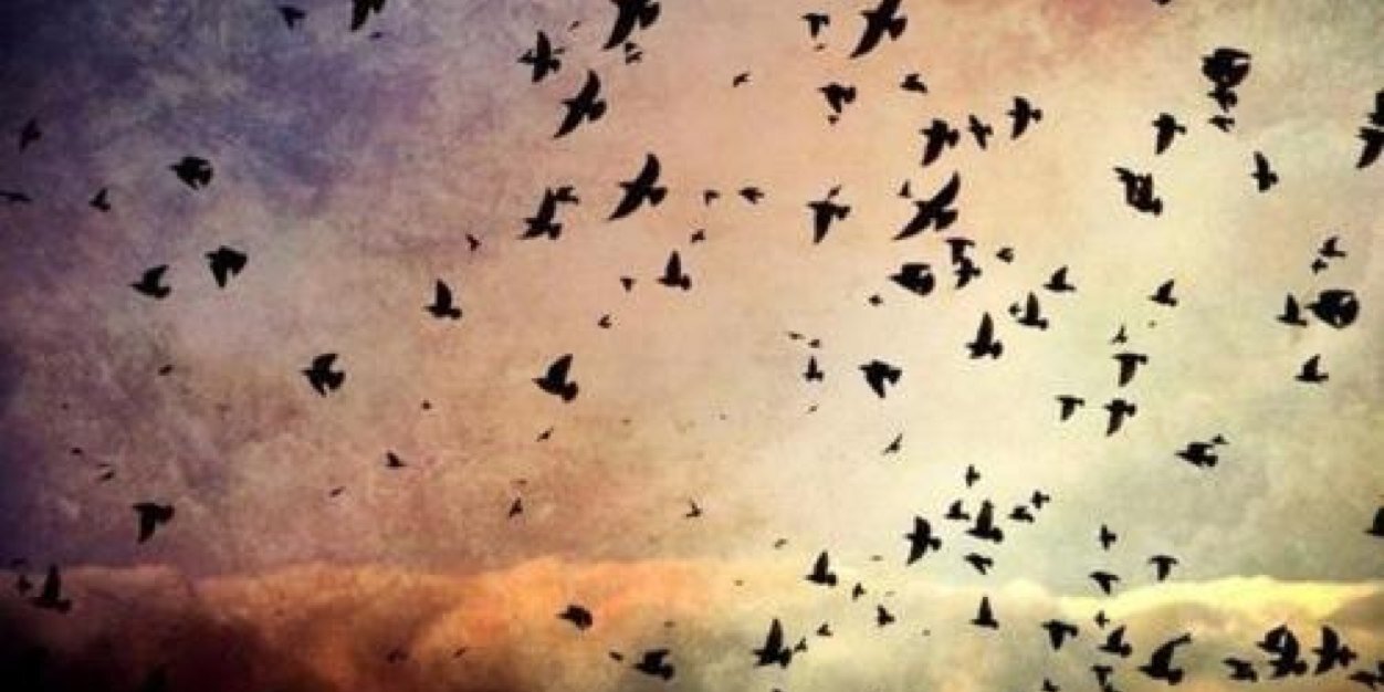 __RayaneT's profile banner image