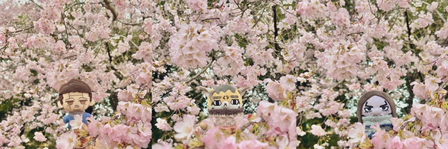 すぎ's banner