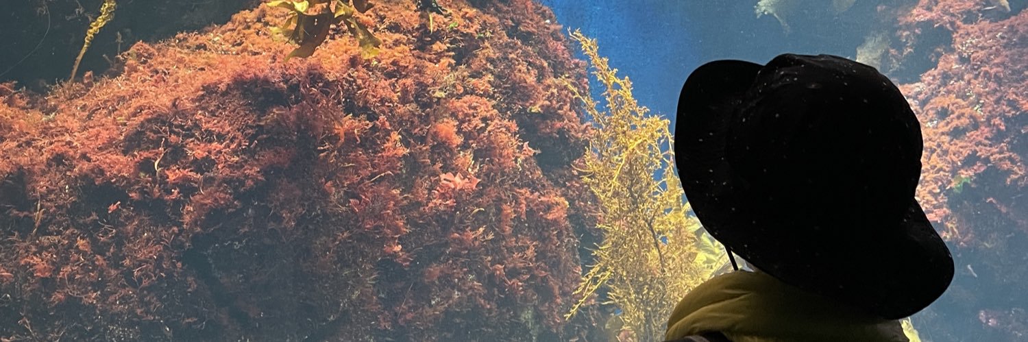 danimorp_'s profile banner image