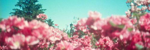 _connecticvt_'s profile banner image