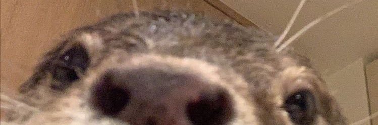 tungkaw2002's profile banner image