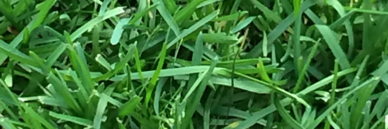 ranndumm's profile banner image
