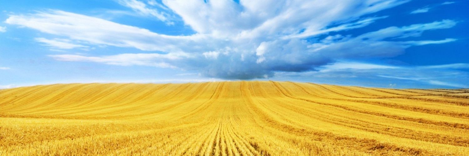 DashaOptimist's profile banner image