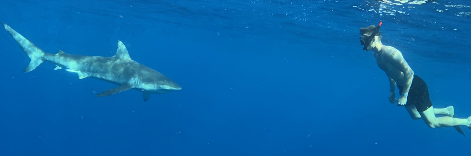 MrMacMerch's profile banner image
