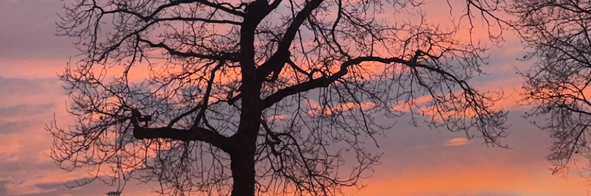 estellepr_'s profile banner image