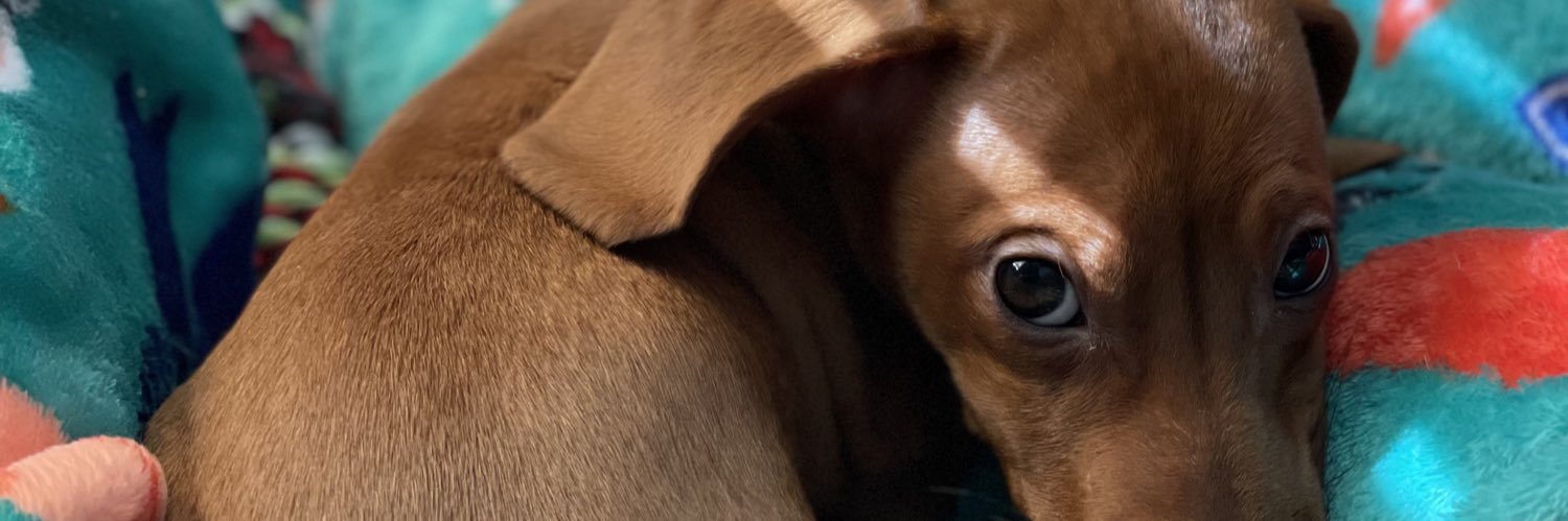 AshleeJordan011's profile banner image