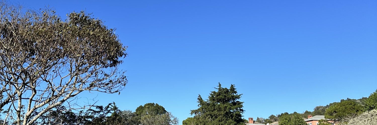 naludomm's profile banner image