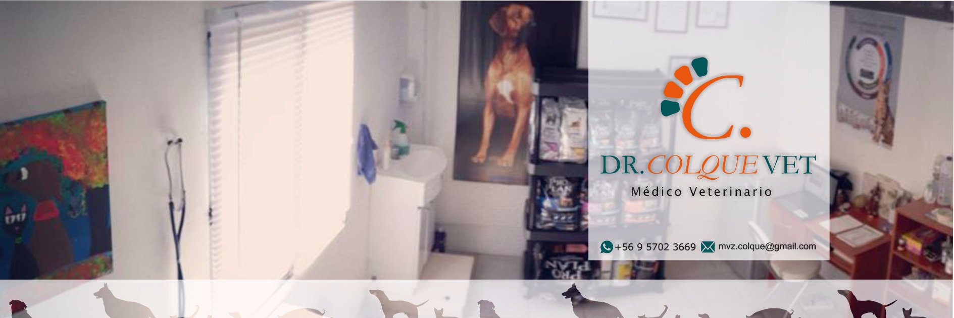 DrColque's profile banner image