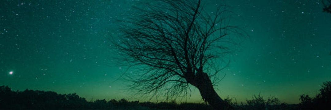 SoapyTurtles's profile banner image