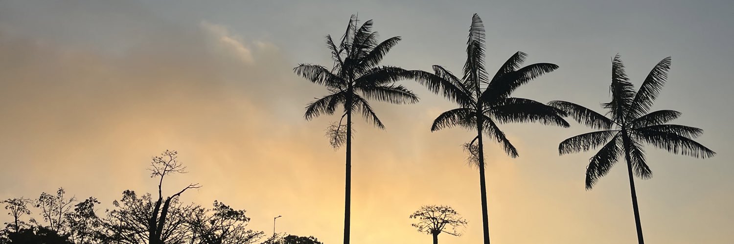 ursinhoabc's profile banner image