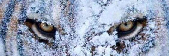 abadisimo's profile banner image