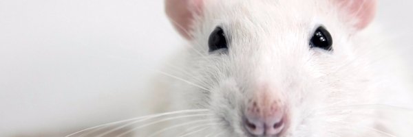 ExplodingTNT Profile Banner