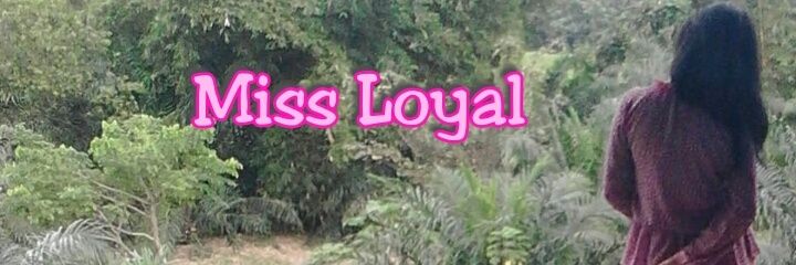 MayaaLoVania's profile banner image