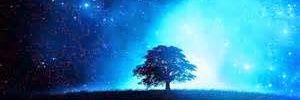 bluemoongypsies's profile banner image