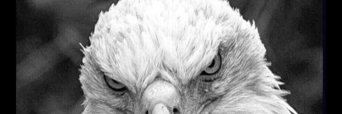 Zurdocg's profile banner image