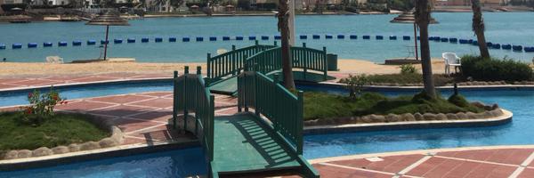 Anwarmoria Profile Banner