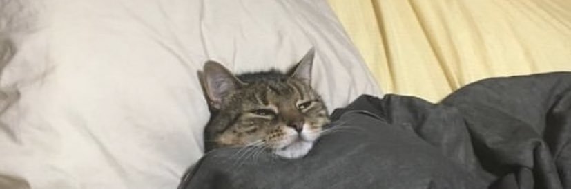 UBVSTE's profile banner image