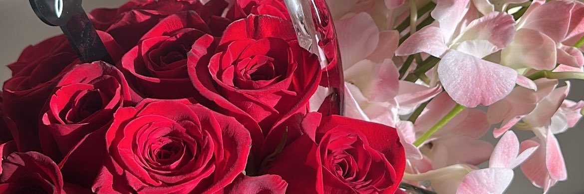 Rneem Almansoury banner