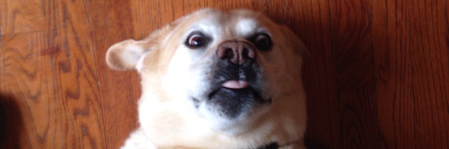 natabug_'s profile banner image