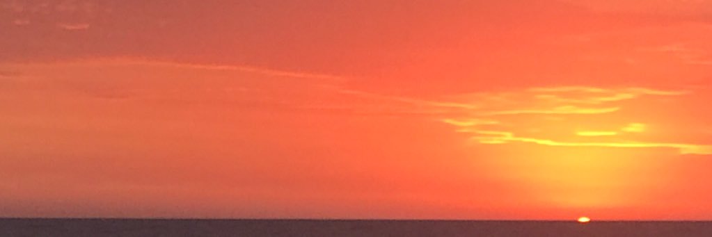 Corallopez's profile banner image