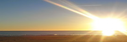 ThriveAfterAbuse banner