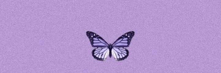 CovertTaylor's profile banner image