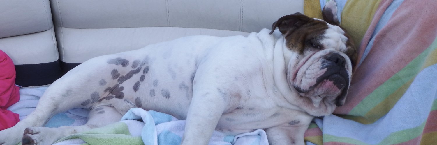 Dave's not here banner