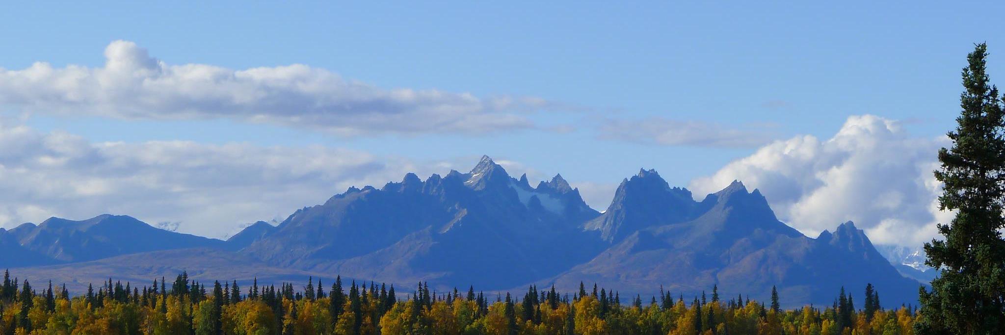 adamalaska's profile banner image