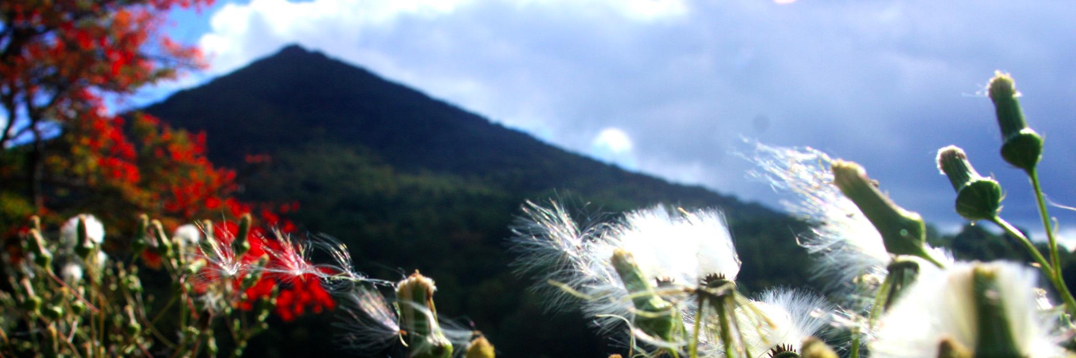 expertcarbon's profile banner image