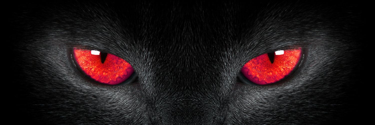NgiJhu's profile banner image