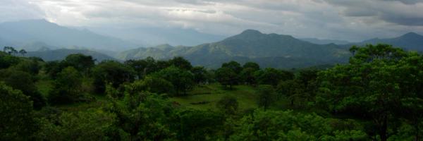 AlanZarychta Profile Banner