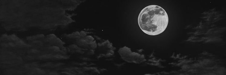ooceri's profile banner image