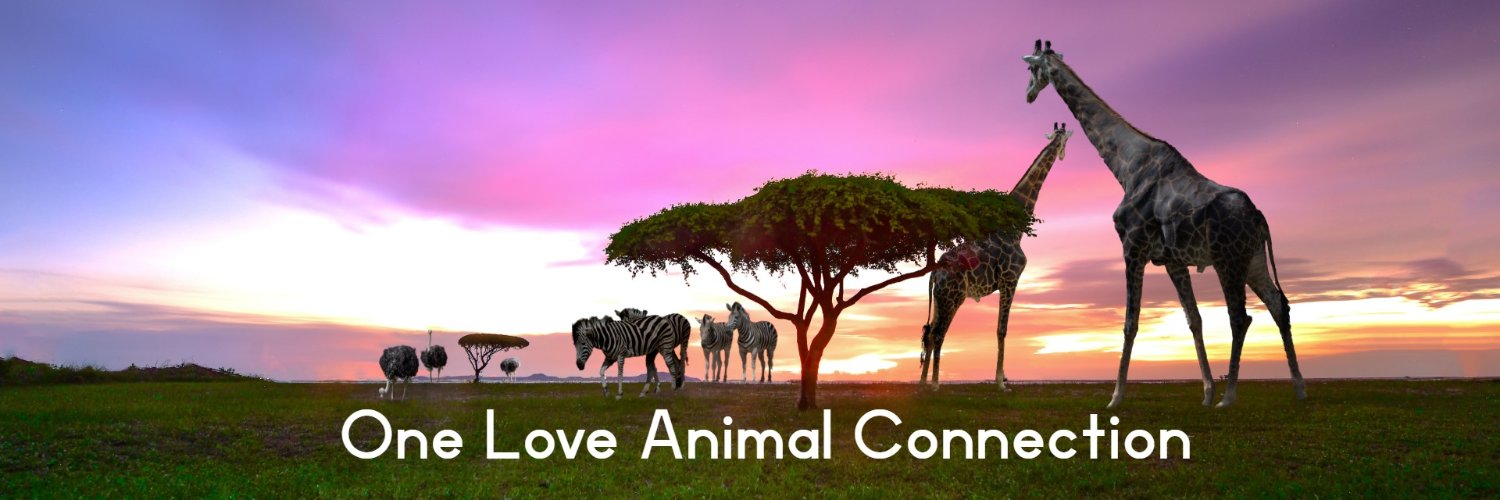 RevKarenC's profile banner image