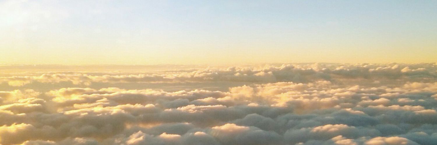 camillebs3's profile banner image
