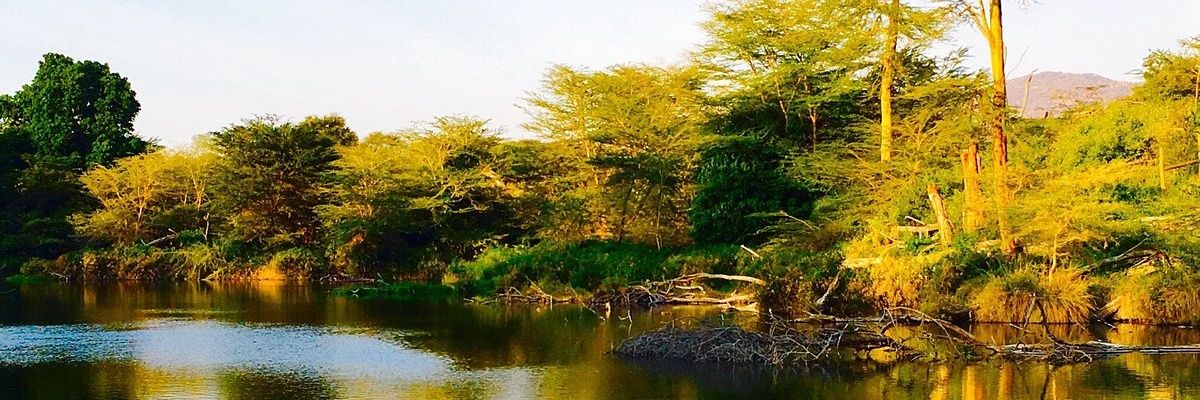 Mustafaahm0's profile banner image
