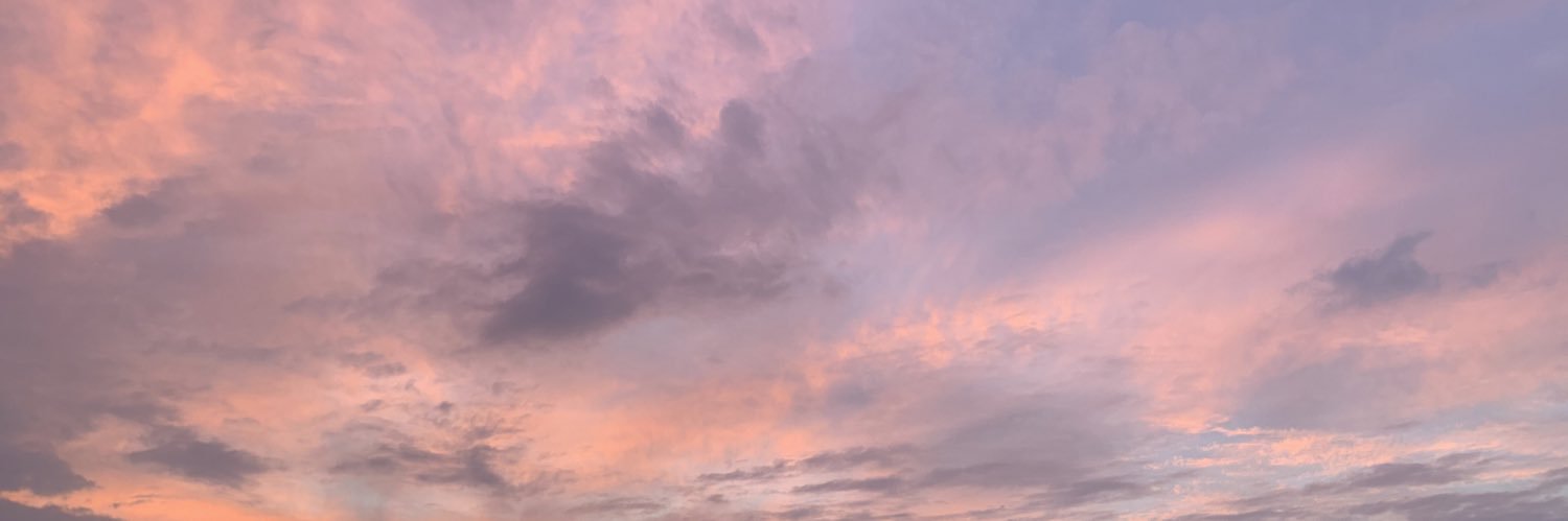 sofiacaicedog1's profile banner image