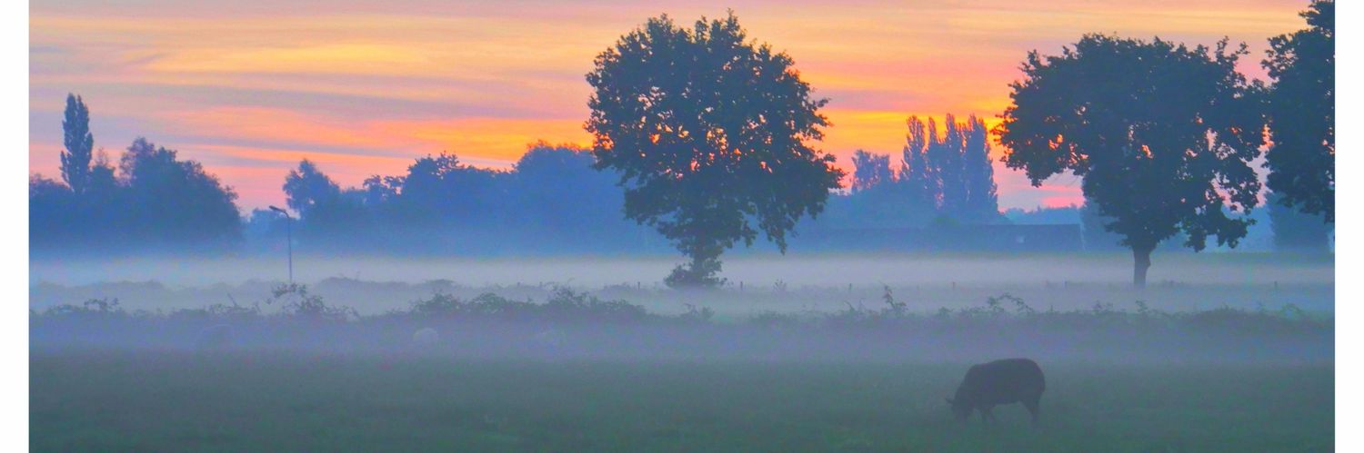 snippephoto's profile banner image