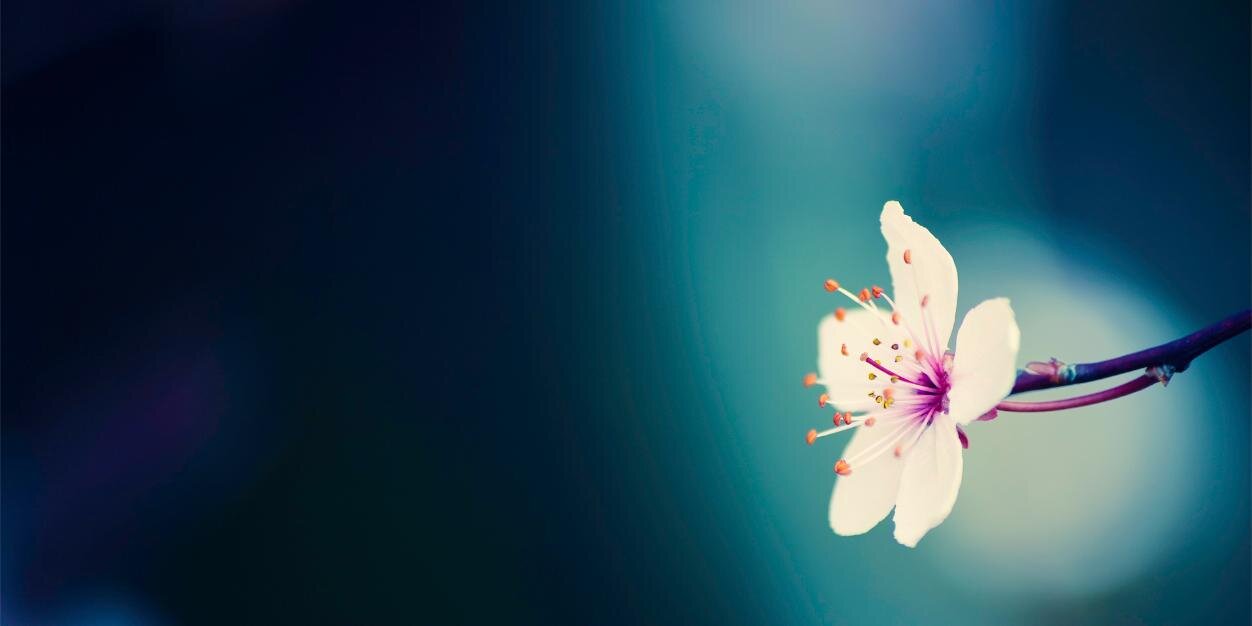 RHKinden's profile banner image