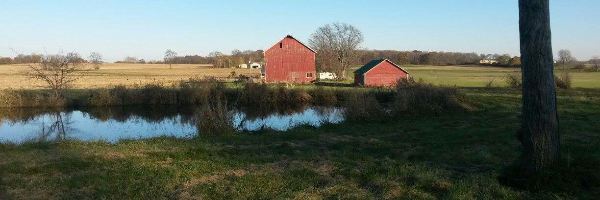 Chris D. Cotton banner