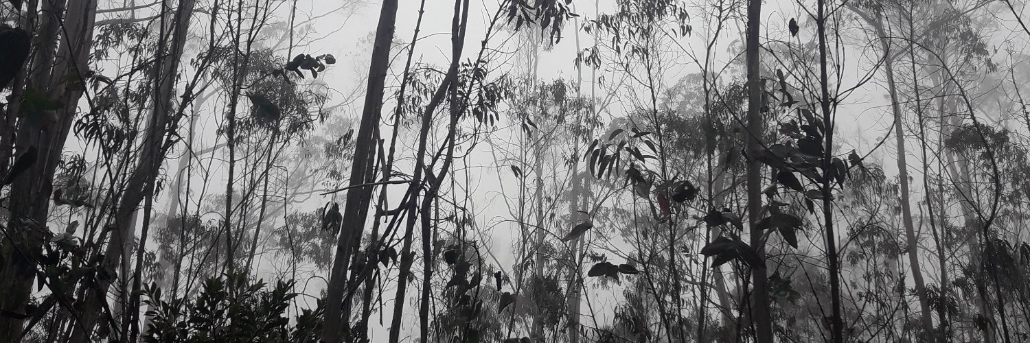karen___14's profile banner image