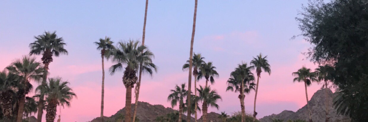 trianalayne's profile banner image