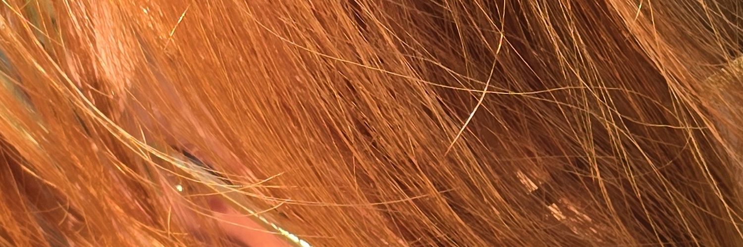 winterffire's profile banner image
