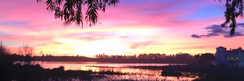 María Ángeles Murillo banner