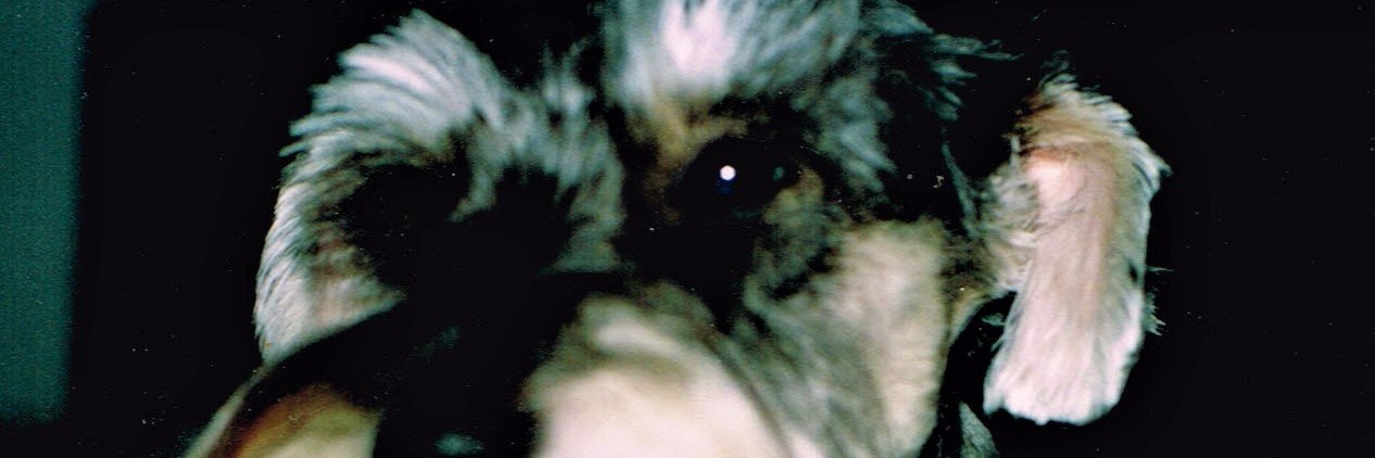 simlou11's profile banner image